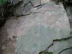 A large slab with faint prints and two trackways